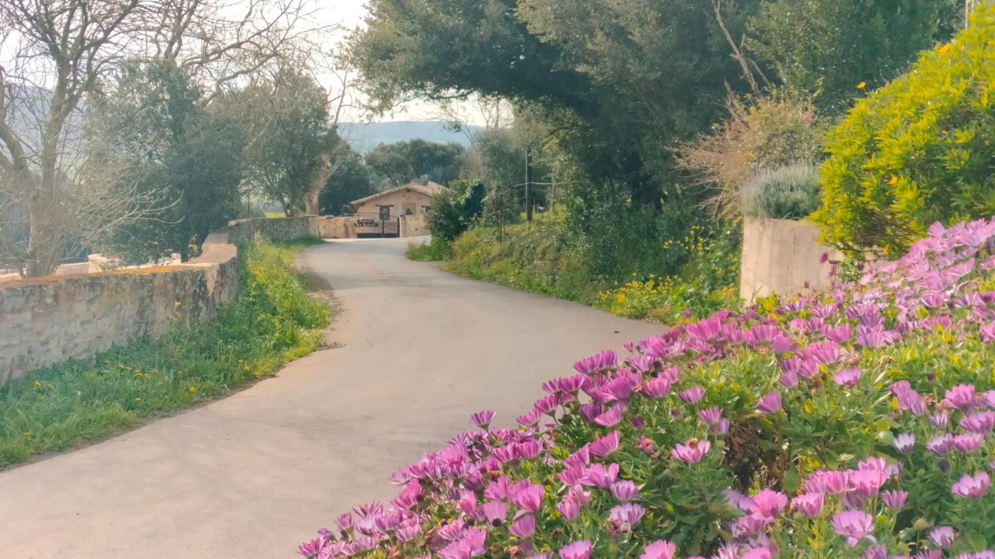 La Quinta Luxury Palace Arnuero Eksteriør billede